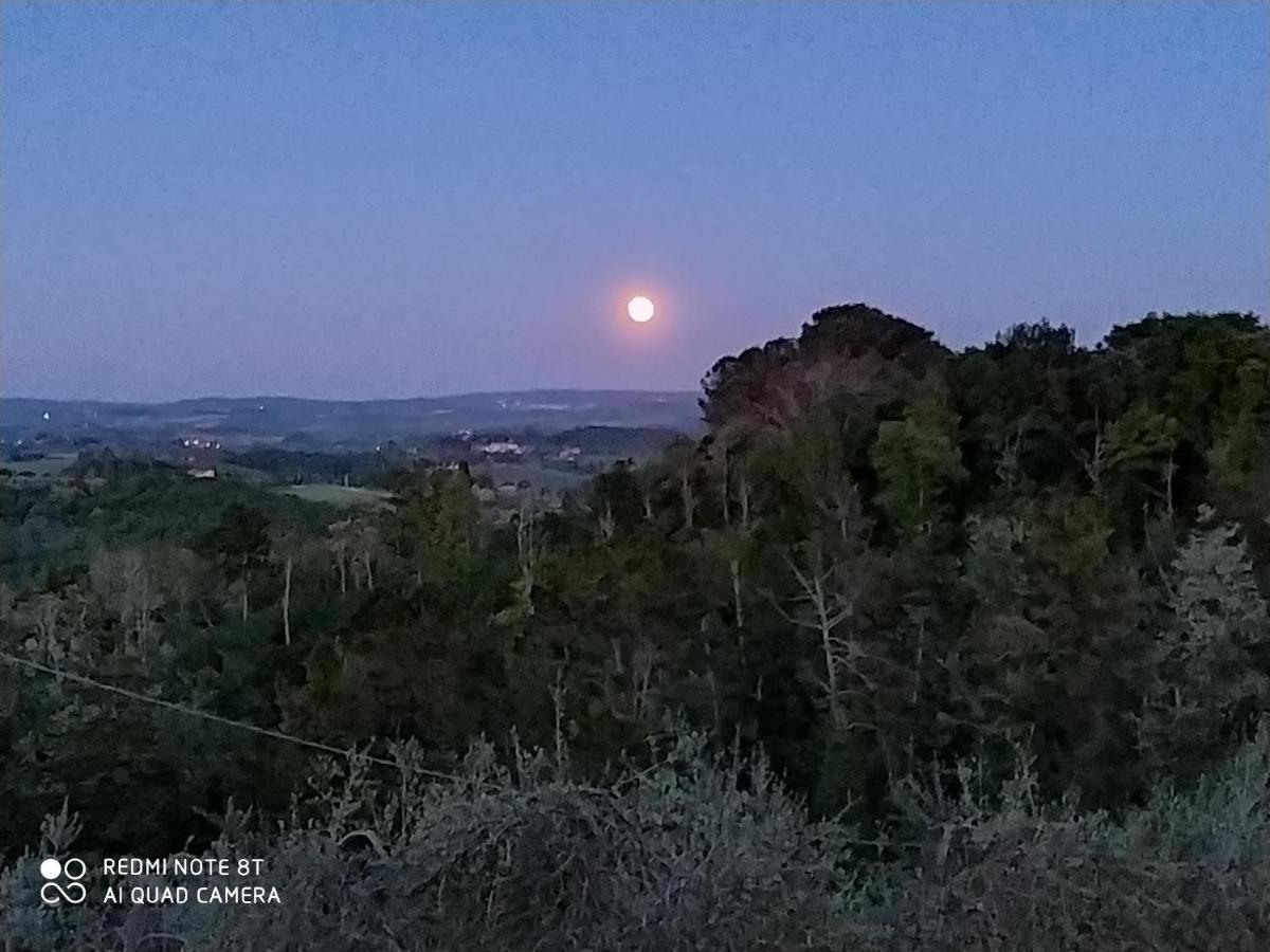 Vignano40 Villa Siena Bagian luar foto
