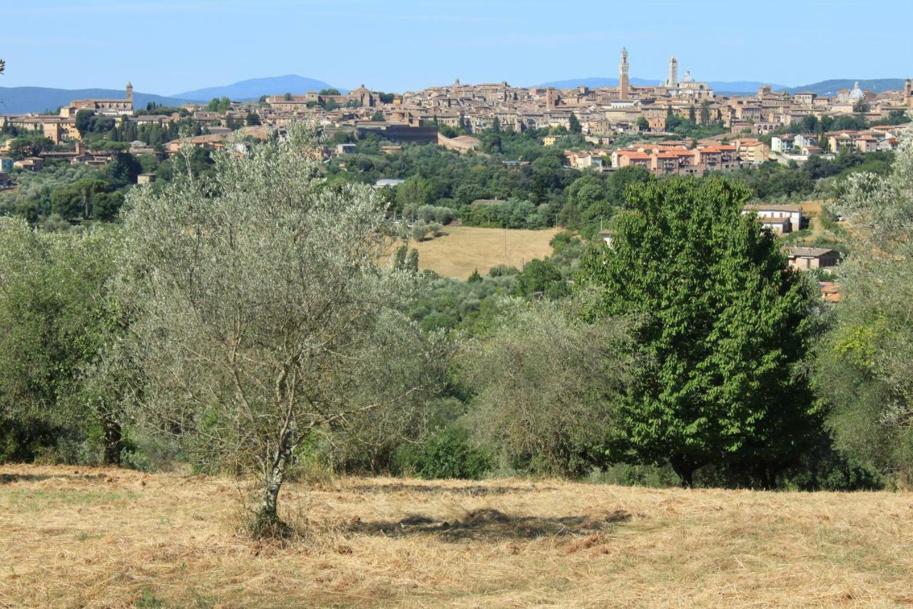 Vignano40 Villa Siena Bagian luar foto